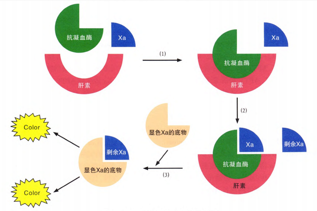 國(guó)產(chǎn)抗Xa質(zhì)量如何？多中心臨床研究來(lái)告訴你！